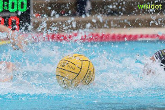 Water Polo Exchange: What It Is and Why the Community Uses It